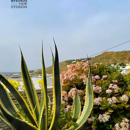 Tatil Evi Lillies Mykonos Sea View